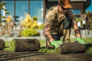 Ready Lawn Layering