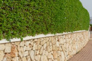 Retaining Walls