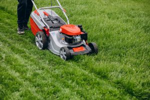 Lawn Layering