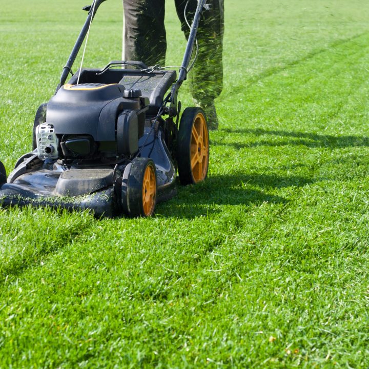 Mowing-scaled Mowing-scaled