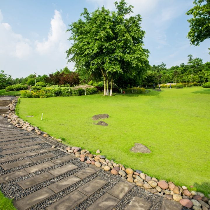 grassland-landscape-greening-environment-park-background-min grassland-landscape-greening-environment-park-background-min